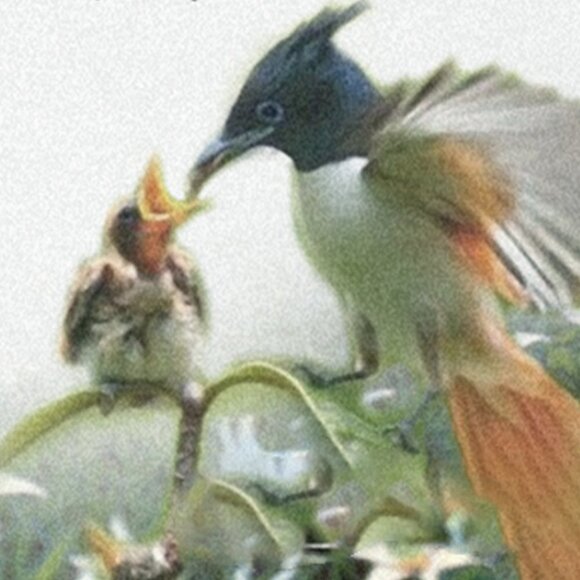 12x18 Be Munificent Fantasy Composite Creative Wall Art Print - Picture 5 of 6